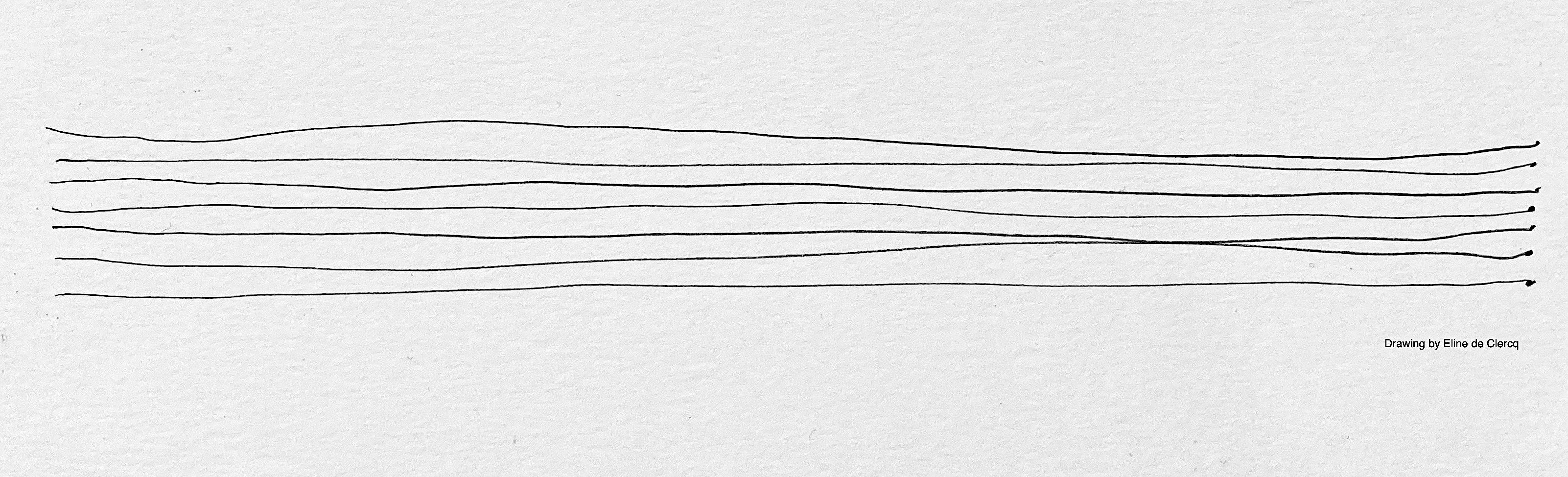 sota_rest_2_kopie-bw-sharp.jpg